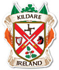 Kildare County